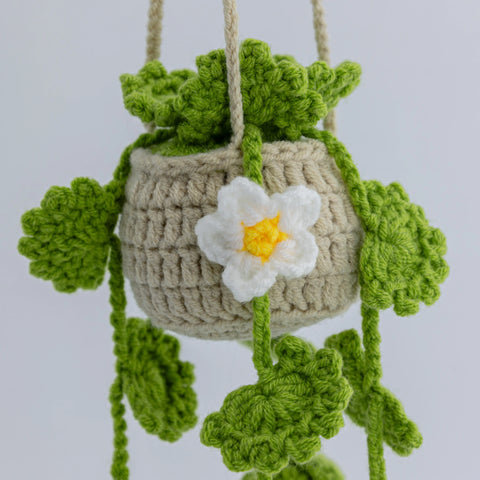 YSHomy Crochet Car Hanging Plants with Strawberry